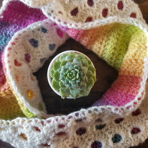 Peek-a-Boo Cowl Crochet Pattern